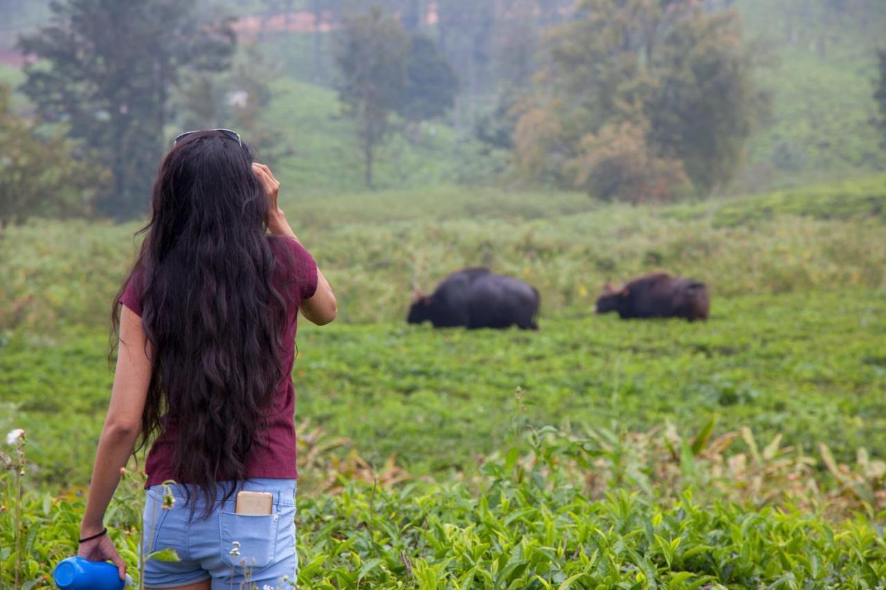 The Realm Hotell Coonoor Exteriör bild